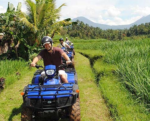 atv-rice-terrace